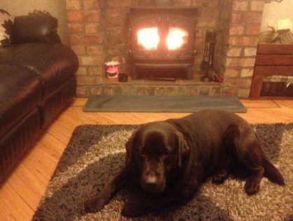 A dog. A log burner. And a piece of slat...