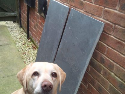 Rocky gives the camera his best cheesy g...